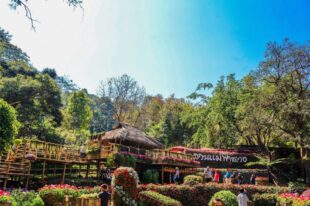 Doi Tung