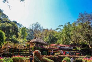 Doi Tung